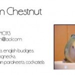 Sam Chestnut