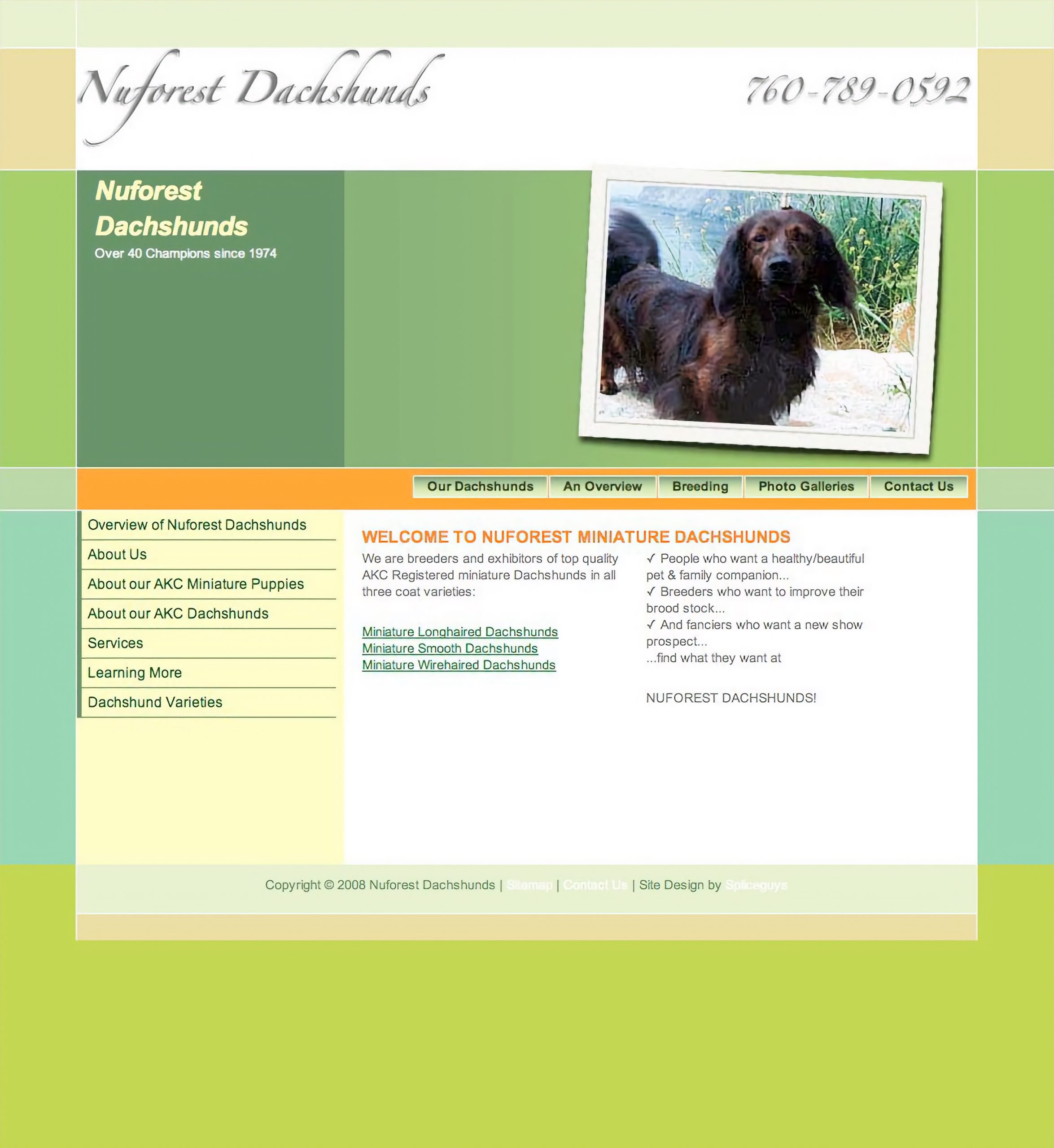 Nuforest Updates Again