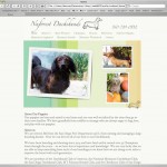 NuforestDachshunds.com