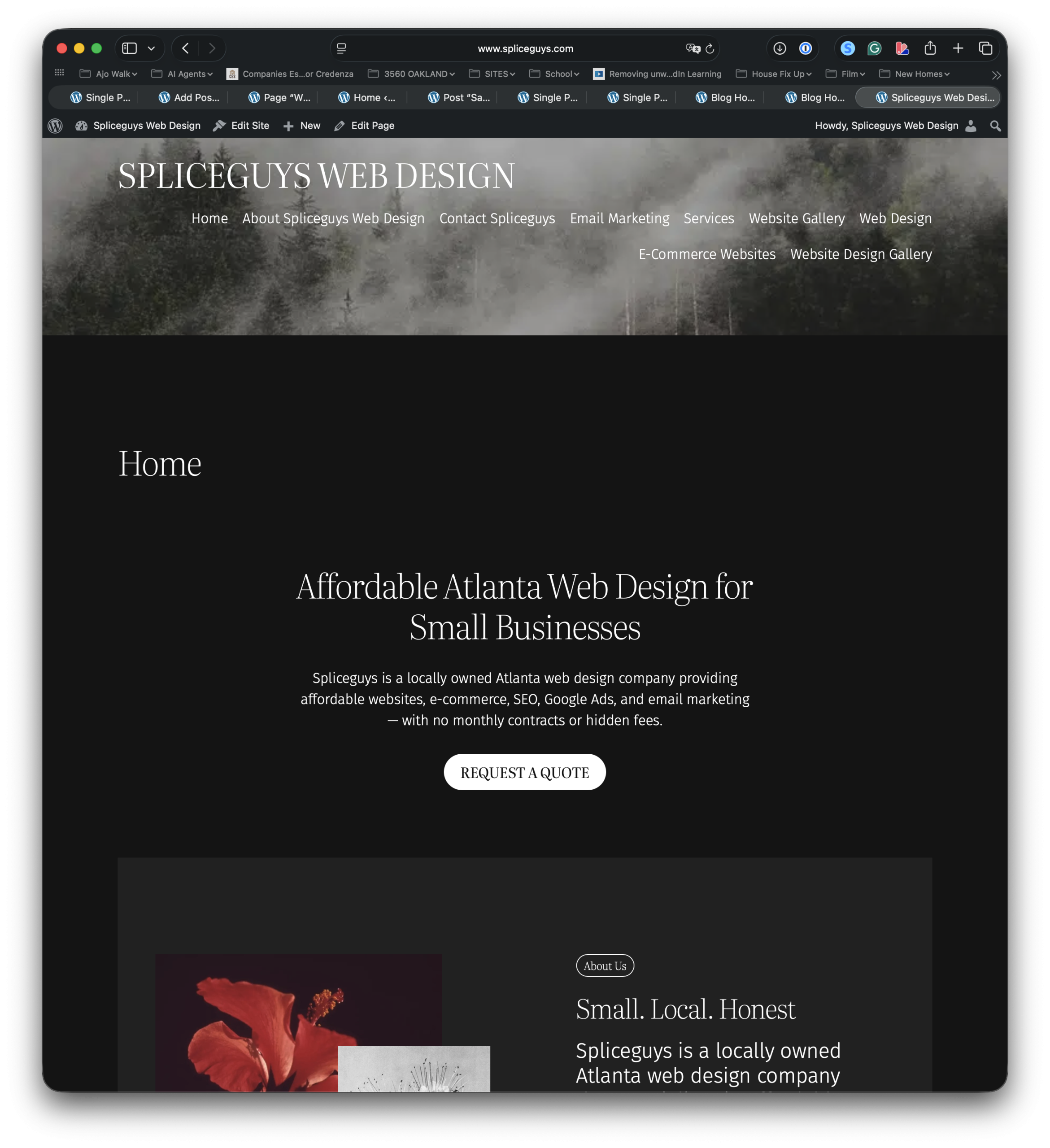 Welcome to Spliceguys Web Design