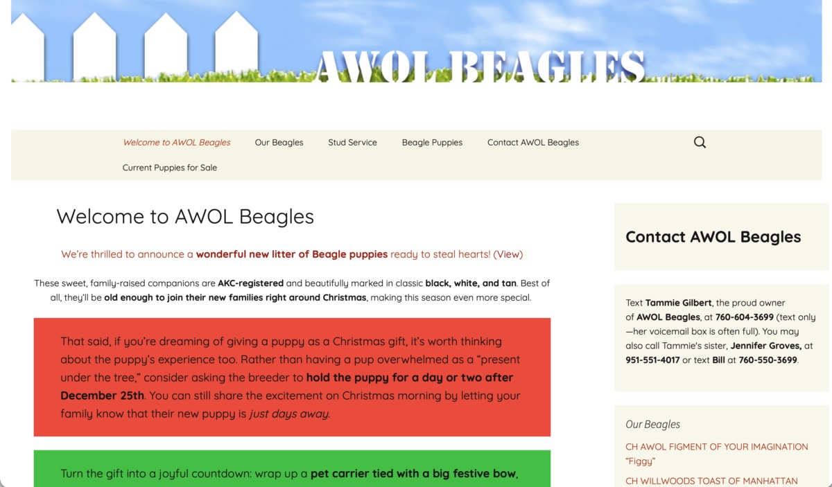 AWOL Beagles