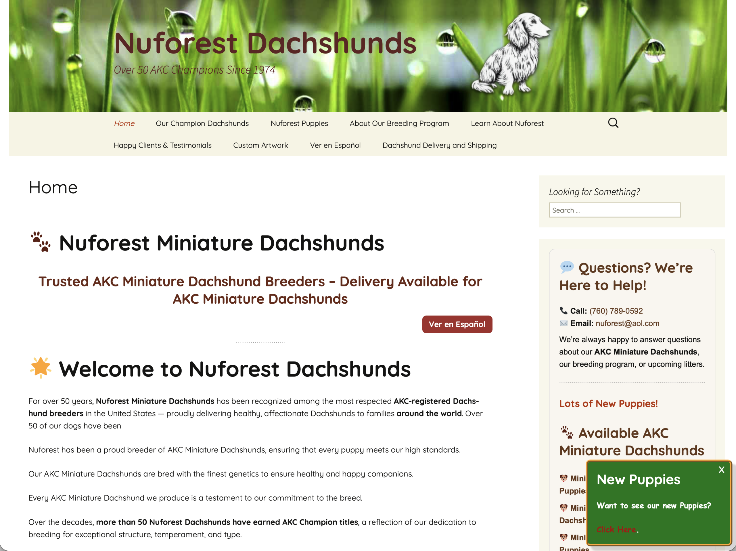Nuforest Dachshunds